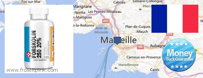 Purchase Forskolin Extract online Marseille, France Where Can I Purchase Forskolin Extract online Marseille, France