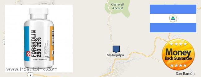 Dónde comprar Forskolin en linea Matagalpa, Nicaragua