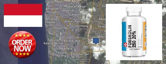 Where to Buy Forskolin Extract online Mataram, Indonesia