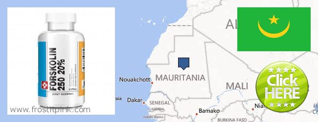 Πού να αγοράσετε Forskolin σε απευθείας σύνδεση Mauritania