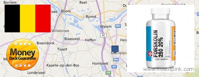 Where Can I Buy Forskolin Extract online Mechelen, Belgium