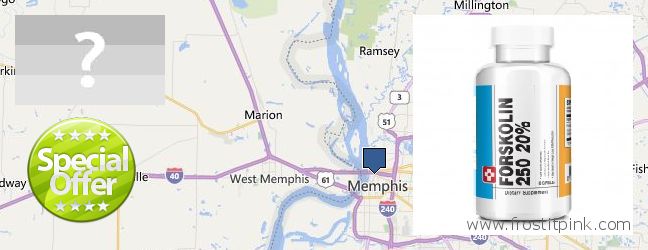 Wo kaufen Forskolin online Memphis, USA