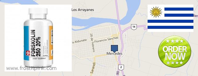 Dónde comprar Forskolin en linea Mercedes, Uruguay