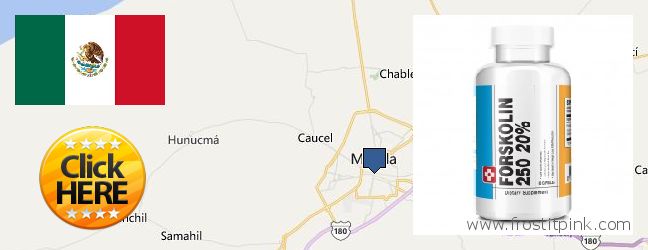 Where Can You Buy Forskolin Extract online Merida, Mexico