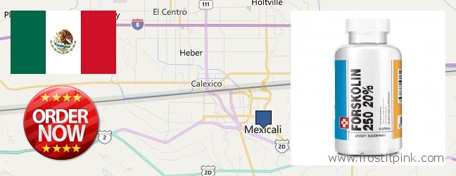 Where Can You Buy Forskolin Extract online Mexicali, Mexico