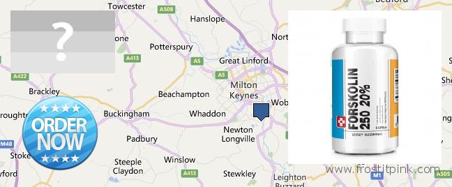 Purchase Forskolin Extract online Milton Keynes, UK Where Can I Buy Forskolin Extract online Milton Keynes, UK