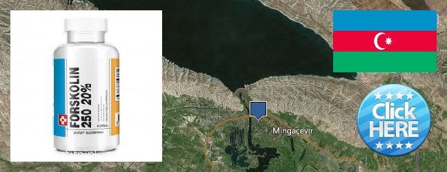 Best Place to Buy Forskolin Extract online Mingelchaur, Azerbaijan