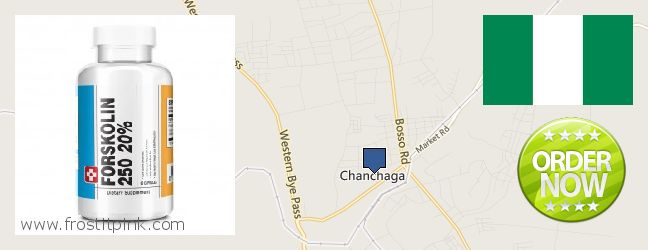 Where to Buy Forskolin Extract online Minna, Nigeria