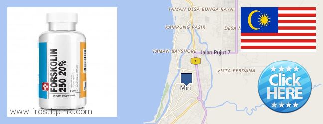 Where to Buy Forskolin Extract online Miri, Malaysia