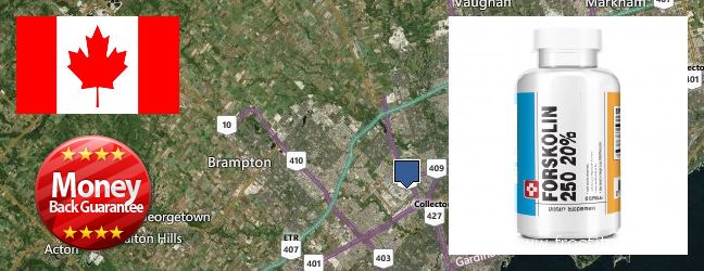 Buy Forskolin Extract online Mississauga, Canada