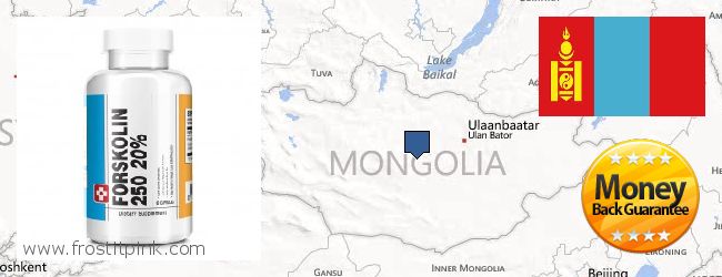 Where to Buy Forskolin Extract online Mongolia