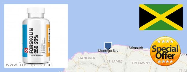 Purchase Forskolin Extract online Montego Bay, Jamaica Where to Buy Forskolin Extract online Montego Bay, Jamaica