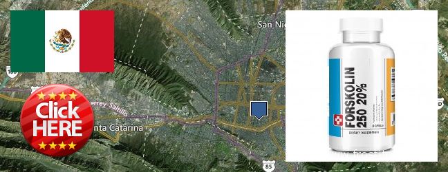 Comprar Forskolin en linea Monterrey, Mexico Dónde comprar Forskolin en linea Monterrey, Mexico