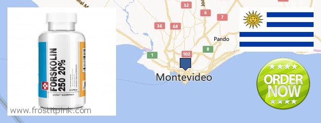 Where to Buy Forskolin Extract online Montevideo, Uruguay