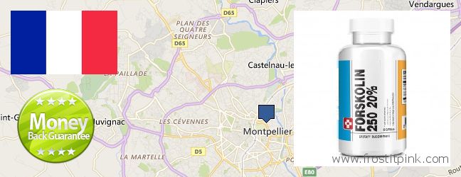 Où Acheter Forskolin en ligne Montpellier, France