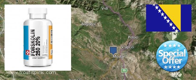 Де купити Forskolin онлайн Mostar, Bosnia and Herzegovina