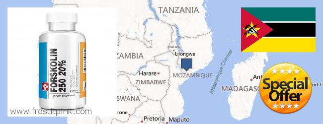 Purchase Forskolin Extract online Mozambique Where to Purchase Forskolin Extract online Mozambique