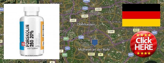 Hvor kan jeg købe Forskolin online Muelheim (Ruhr), Germany