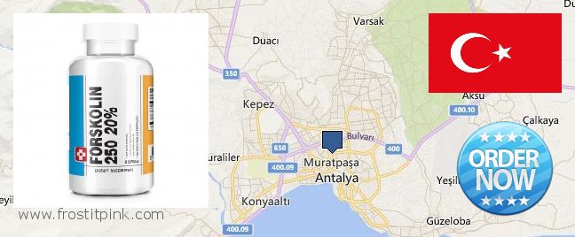 Where to Buy Forskolin Extract online Muratpasa, Turkey