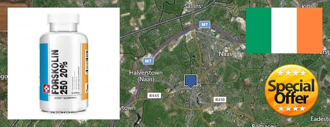 Where to Purchase Forskolin Extract online Naas, Ireland