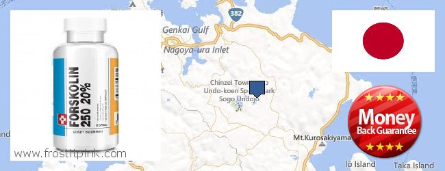 Purchase Forskolin Extract online Nagoya, Japan Where Can I Buy Forskolin Extract online Nagoya, Japan