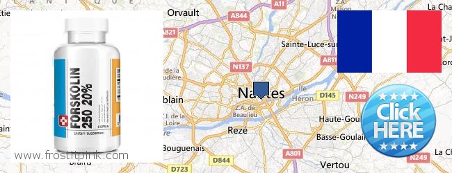 Où Acheter Forskolin en ligne Nantes, France