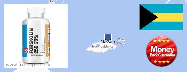 Buy Forskolin Extract online Nassau, Bahamas Where Can I Purchase Forskolin Extract online Nassau, Bahamas