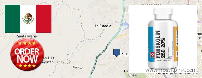 Where to Buy Forskolin Extract online Naucalpan de Juarez, Mexico