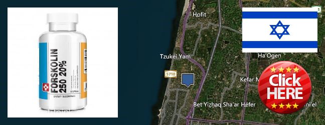 Where to Buy Forskolin Extract online Netanya, Israel