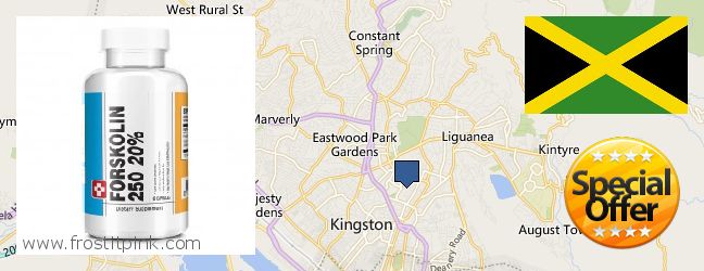 Where to Purchase Forskolin Extract online New Kingston, Jamaica