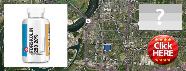 Hvor kan jeg købe Forskolin online New South Memphis, USA