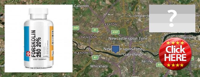 Dónde comprar Forskolin en linea Newcastle upon Tyne, UK