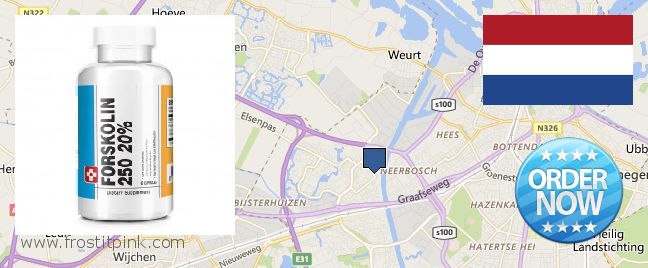 Buy Forskolin Extract online Nijmegen, Netherlands