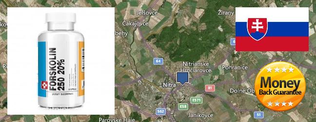 Kde koupit Forskolin on-line Nitra, Slovakia