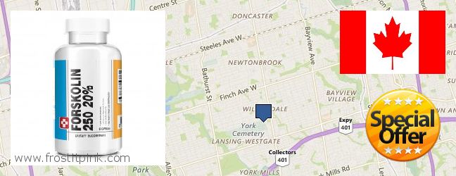 Buy Forskolin Extract online North York, Canada Where to Buy Forskolin Extract online North York, Canada