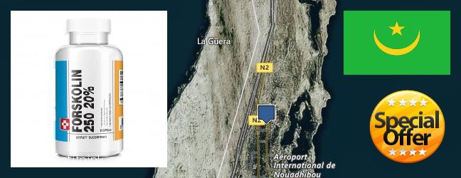 Purchase Forskolin Extract online Nouadhibou, Mauritania Where to Buy Forskolin Extract online Nouadhibou, Mauritania