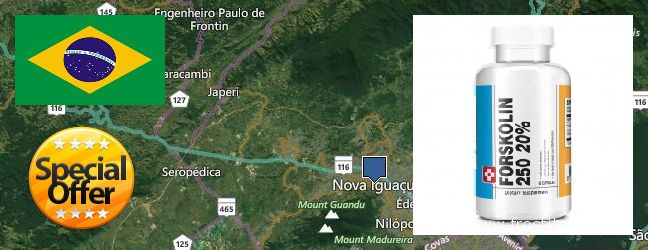 Where to Purchase Forskolin Extract online Nova Iguacu, Brazil