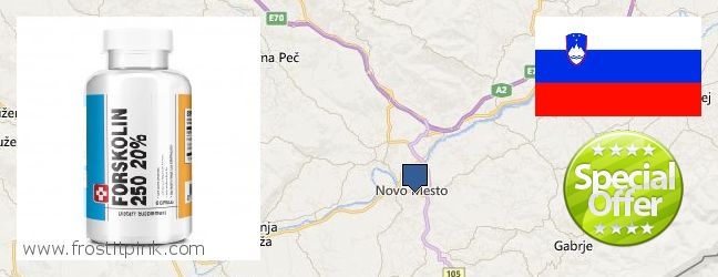 Dove acquistare Forskolin in linea Novo Mesto, Slovenia