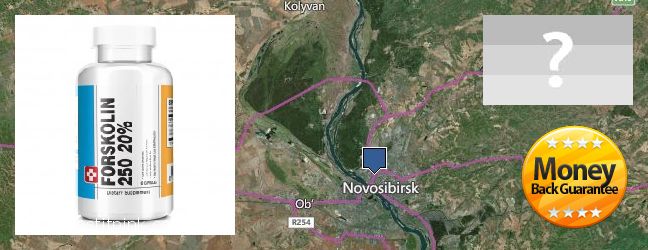 Wo kaufen Forskolin online Novosibirsk, Russia