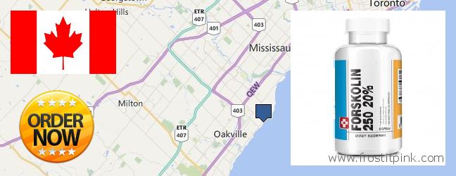 Purchase Forskolin Extract online Oakville, Canada