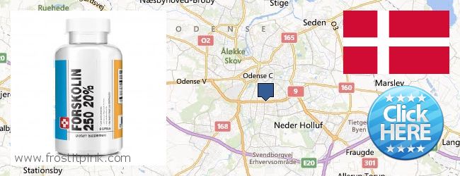 Hvor kan jeg købe Forskolin online Odense, Denmark