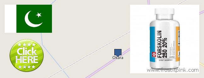 Purchase Forskolin Extract online Okara, Pakistan Where to Purchase Forskolin Extract online Okara, Pakistan