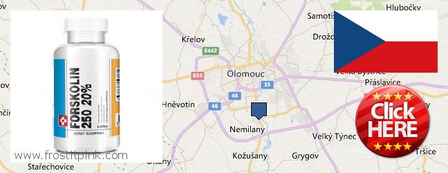 Buy Forskolin Extract online Olomouc, Czech Republic