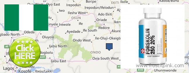 Where to Buy Forskolin Extract online Ondo, Nigeria