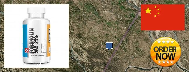 Purchase Forskolin Extract online Ordos, China Where Can You Buy Forskolin Extract online Ordos, China