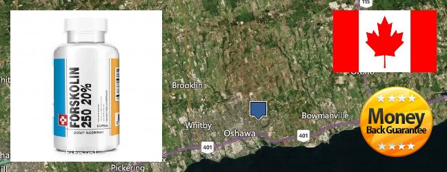 Buy Forskolin Extract online Oshawa, Canada Where to Buy Forskolin Extract online Oshawa, Canada