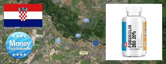 Where to Buy Forskolin Extract online Osijek, Croatia