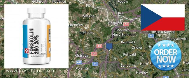 Where to Buy Forskolin Extract online Ostrava, Czech Republic