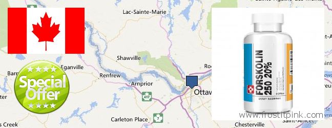 Where to Buy Forskolin Extract online Ottawa, Canada