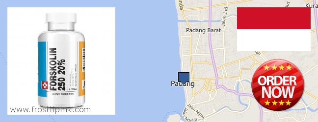 Where Can I Purchase Forskolin Extract online Padang, Indonesia